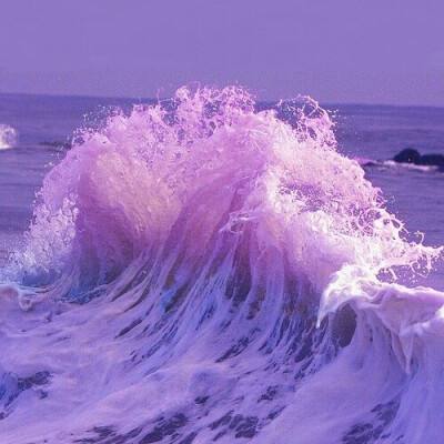 新澳门六开彩资料大全下载手机版